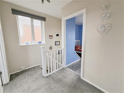 Picture 14